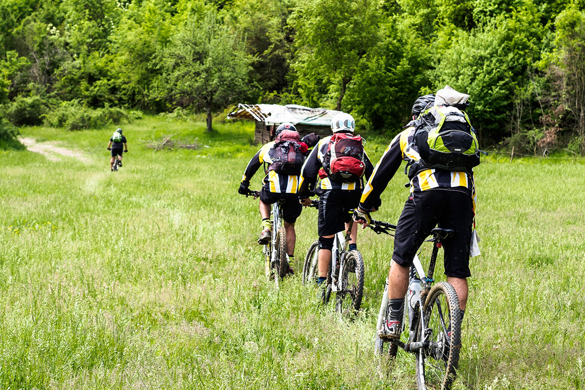 Gallery Nl Mtb 4